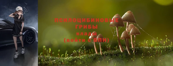 скорость mdpv Алексеевка