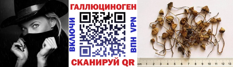 как найти закладки  Лесной  даркнет телеграм  Галлюциногенные грибы GOLDEN TEACHER 