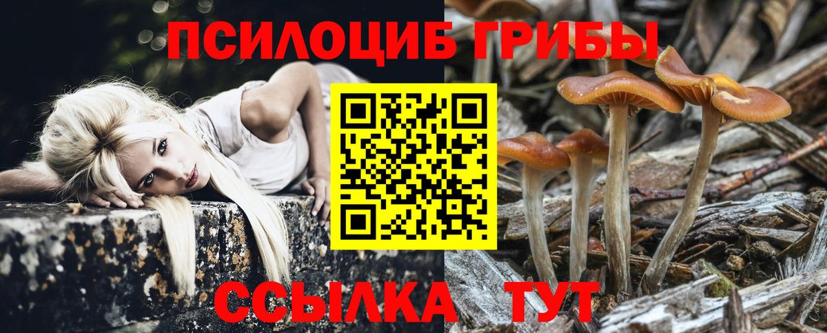 Псилоцибиновые грибы прущие грибы  Псилоцибиновые грибы Psilocybine cubensis  Вход с VPN  Лесной 